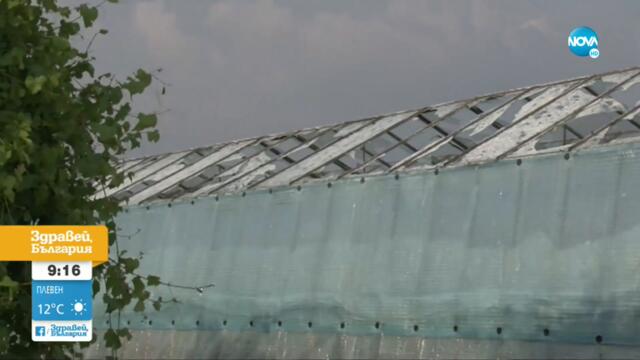 Ще бъдат ли компенсирани пострадалите от градушката в Пловдивско земеделци? - Здравей, България