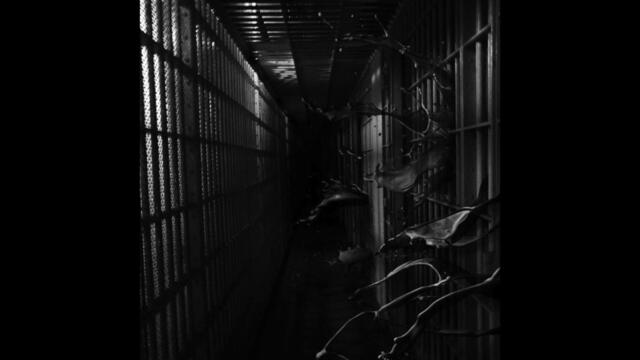 Regional Justice Center - Institution (Full EP)