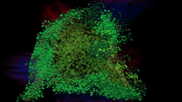 The Stuck at Home Suite