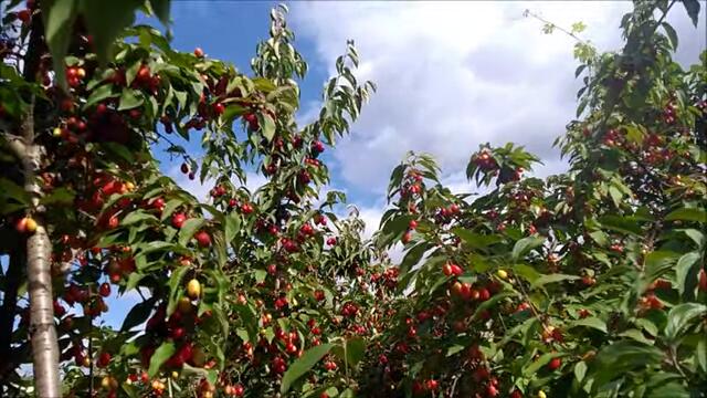 С 1 Сентября! ДОБРОЙ ОСЕНИ ВСЕМ