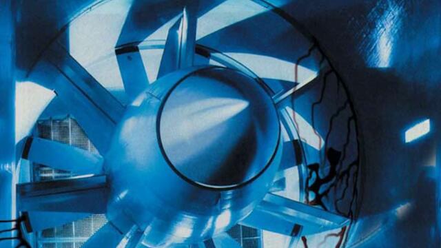 Discipline Misanthropy