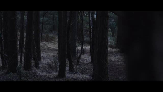 Longfellow - Where I Belong (Official)