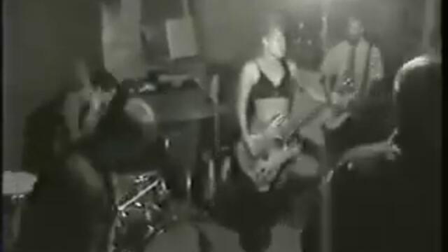 Arab On Radar "Sunshine For Shady People" movie