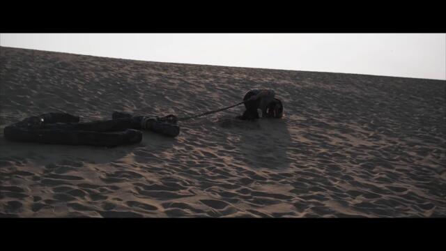 Signs of the Swarm - Death Whistle (Official Video)