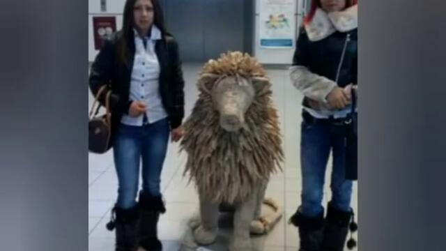 ORK.VIP.Златни теми Сестри.