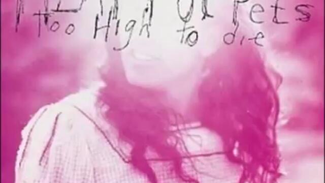Meat Puppets - We Don't Exist