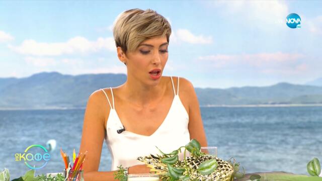 НАУЧНО ОТКРИТИЕ: Как можем да превърнем суша в езеро? - „На кафе" (08.09.2021)