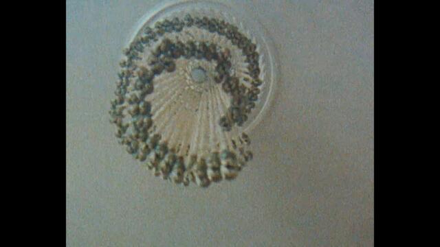 Jasmine Thompson - after goodbye (Official Video)