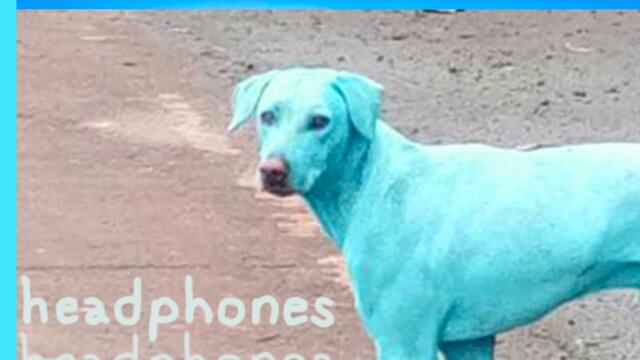 blueteen. - headphones (Full EP)