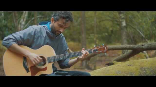 I improvised on a Taylor 214ce in a stunning forest in London 🌳🍄