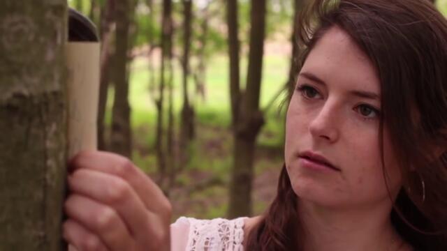 Caroline Reese & the Drifting Fifth - What I Did (Music Video)