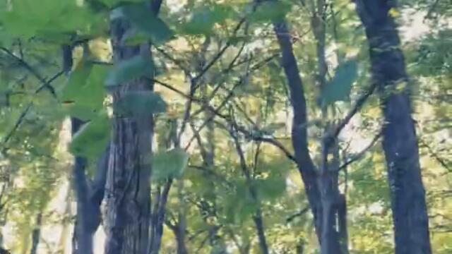 Talking To the Moon 🌝 🌚 Bruno #brunomars Mars 🎧 Song #hanzart #talkingtothemoon #vevo #nature