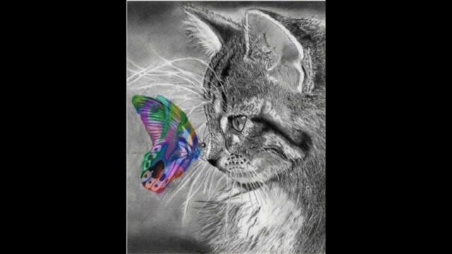 Диан Душков - пеперудка кючек best quality