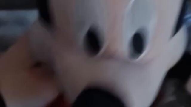 mickey mouse 🐭is the whole