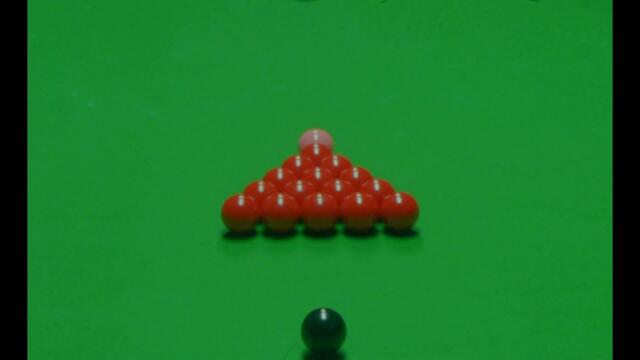 Richard Dawson & Circle - Lily (Official Video)