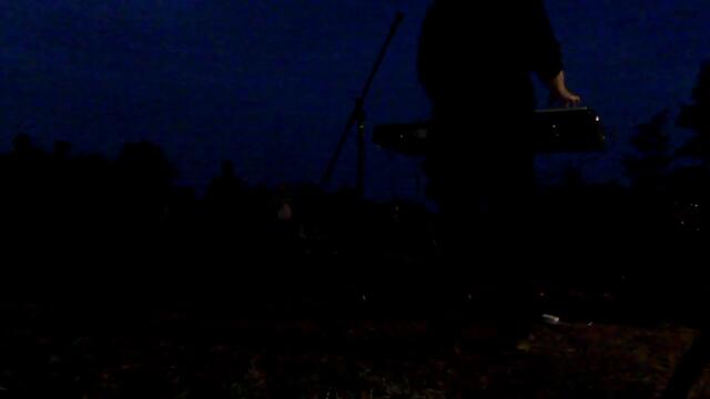 Puppies In The Sun: Under the Autobahn (Berlin 2021)