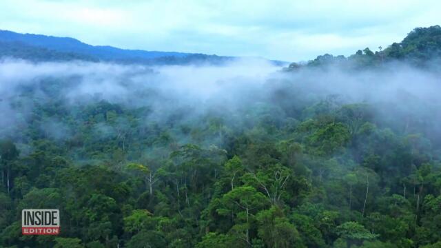 Wildcat Gold Mining Is Devastating the Amazon