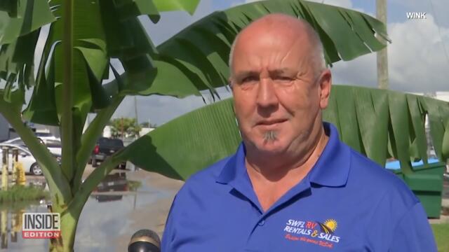 Someone Filled Pothole With a Banana Tree