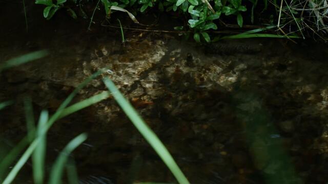 2022 Cadillac CT5-V Blackwing Review // Ultimate American Super Sedan