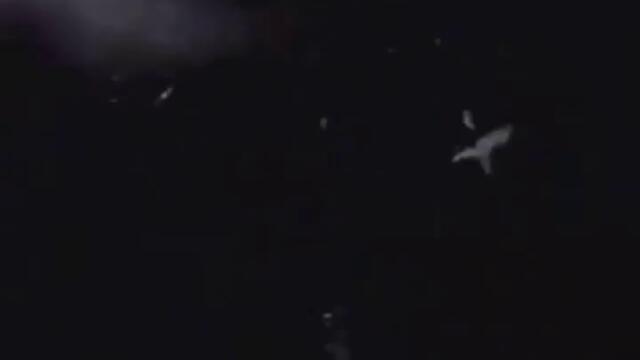 THE TOYES - MONSTER HASH - www.ViralMediaArt.com