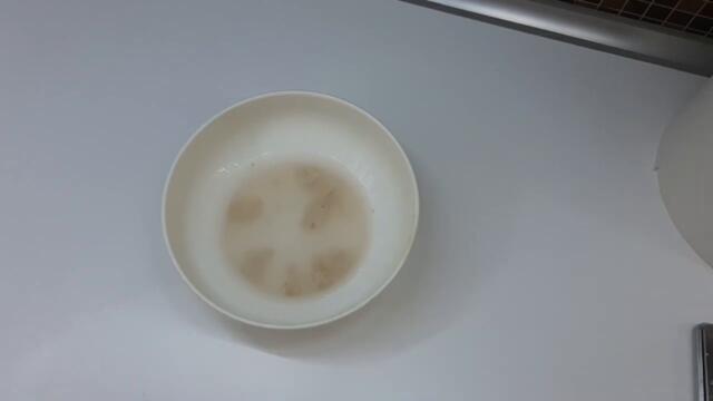 фоkача капрезе #focaccia