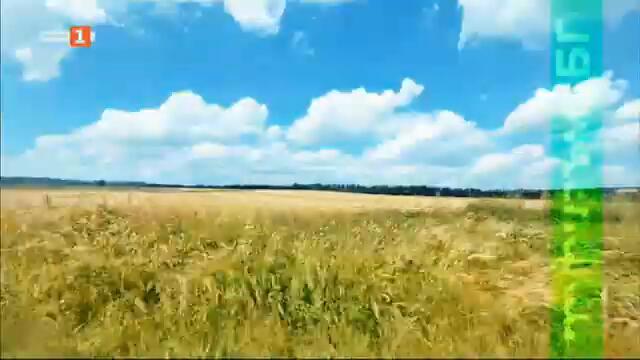 Разходка в крайдунавския град Свищов, Туризъм.БГ – 11.09.2021 по БНТ