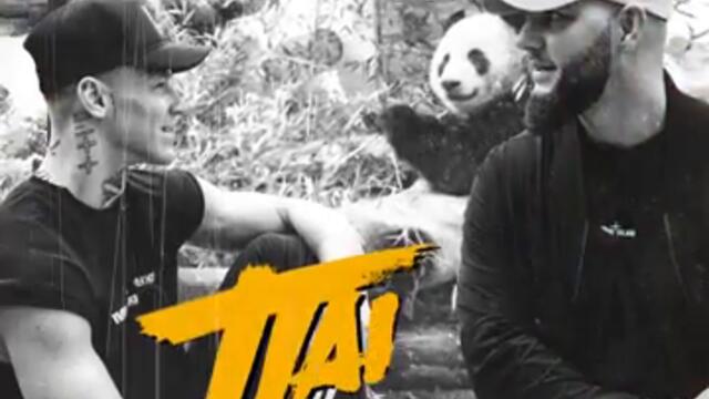 Брутто, NILETTO - Панда