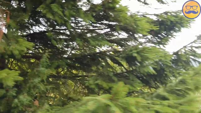 ЧТО ПРОИЗОШЛО С ЖЕЛЕЙНЫМ МЕДВЕДЕМ ВАЛЕРОЙ