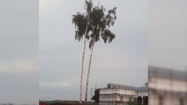 Фото подписчиков Фактории (78 часть)