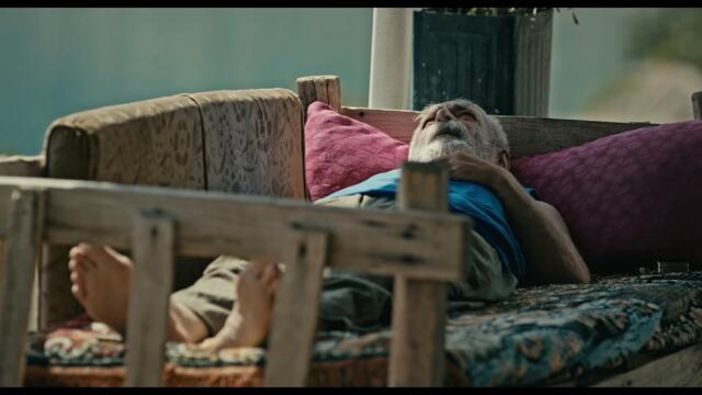 Kıney, Mehmet Pehlivan'ı öldürecek mi? - Memleket Filmi