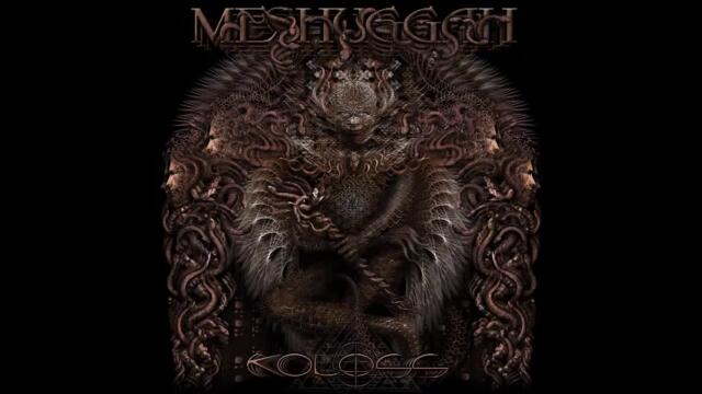 Meshuggah-Swarm