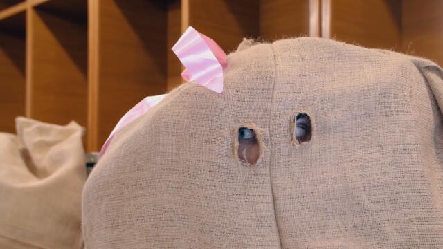 BOGU IZA NOGU - TONCI & MADRE BADESSA (OFFICIAL VIDEO 2021) HD