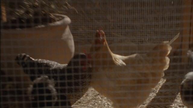 The War On Drugs - I Don't Live Here Anymore (feat. Lucius) [Official Music Video]