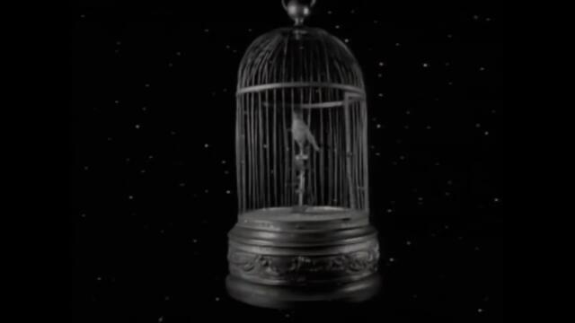 Tori Amos - Professional Widow (Remix) (Official Music Video)