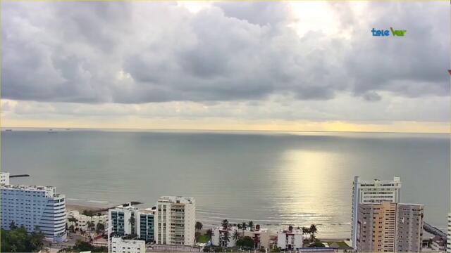 Disfruta de un delicioso Dou de concha rellena y café capuchino.