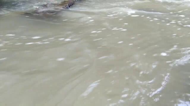 ABDUL AZIS BARAJA, SANG PEMBURU BENDA KUNO Part 88