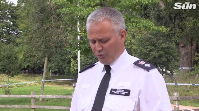 Police fear Sabina Nessa’s killer could strike AGAIN after teacher murdered 5 minutes from home