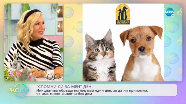 Инициативата „Спомни си за мен” Ден” напомня, че има много животни без дом - „На кафе” (23.09.2021)