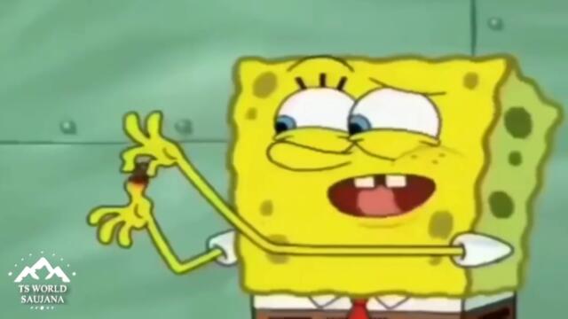 Spongebob bought 4 new houses (extended version with subtitles)