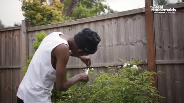 Real Housemaids of Zimbabwe, Episode 6: Fox Inna Henhouse [Turn On Subtitles]