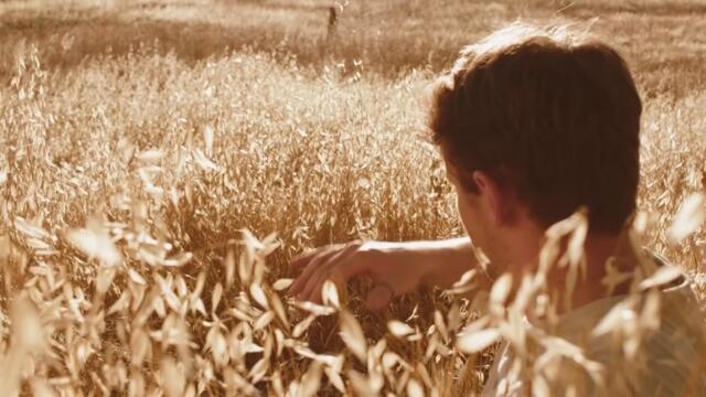 The Dear Hunter - Waves