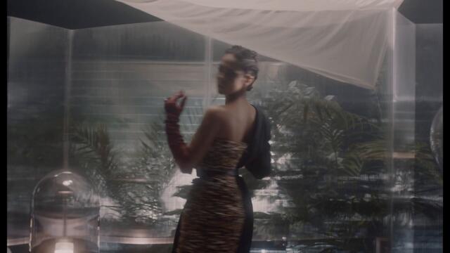 Zea - Growing (official video)