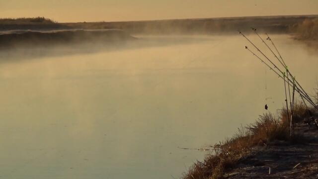 Наловили Судаков в полнолуние. Коргалжын. КАМНИ.  22 Сентября. Осенняя рыбалка. Fishing