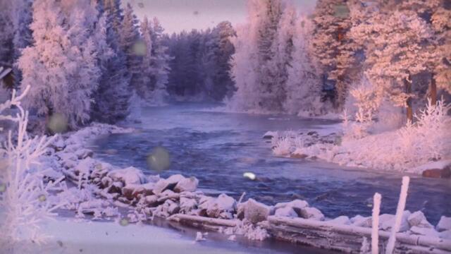 OMORI - A Single Flower Blooms (lofi/chill remix)