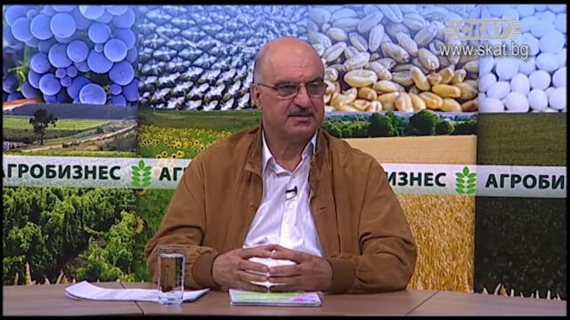 Грижа за природата ли"? Всъщност печелят няколко фамилии, а губят  всички останали!