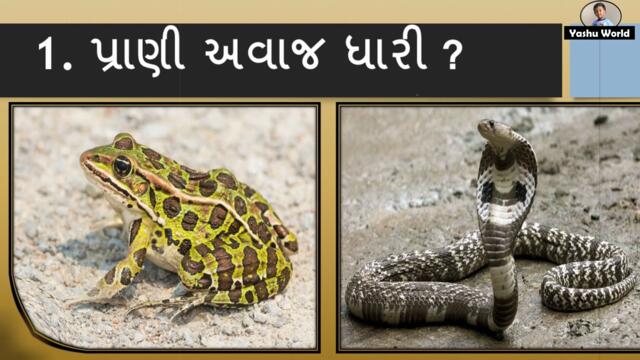 Gujarati GK Quiz 1 - પ્રાણી અવાજ ધારી - Guess the Animal Sounds Quiz in Gujarati