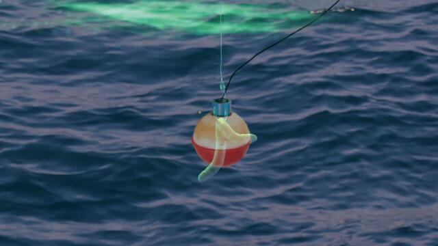 Giant Panda Guerilla Dub Squad - "Signs" (Official Music Video)