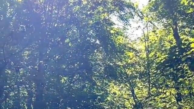 New XXXtention music Video #xxxtentation #xxxtentacion #vevo #hanzart