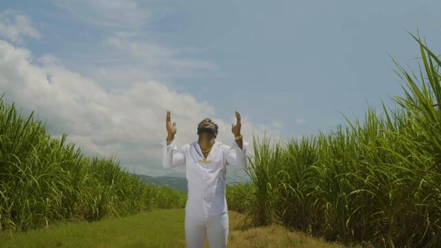 Flyght (Bluugo) - Cross Road (Official Video)