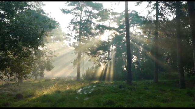 Relax music for stress relief "Elven lullaby". Ambient relaxing music, meditation, yoga (SkySirenS)